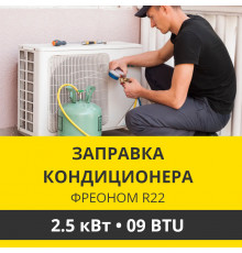 Заправка кондиционера Zanussi фреоном R22 до 2.5 кВт (09 BTU)